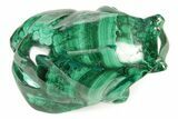 Flowery, Malachite Frog Carving - DR Congo #241951-2